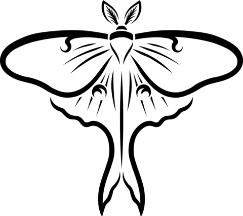 Luna Moth Coloring Page